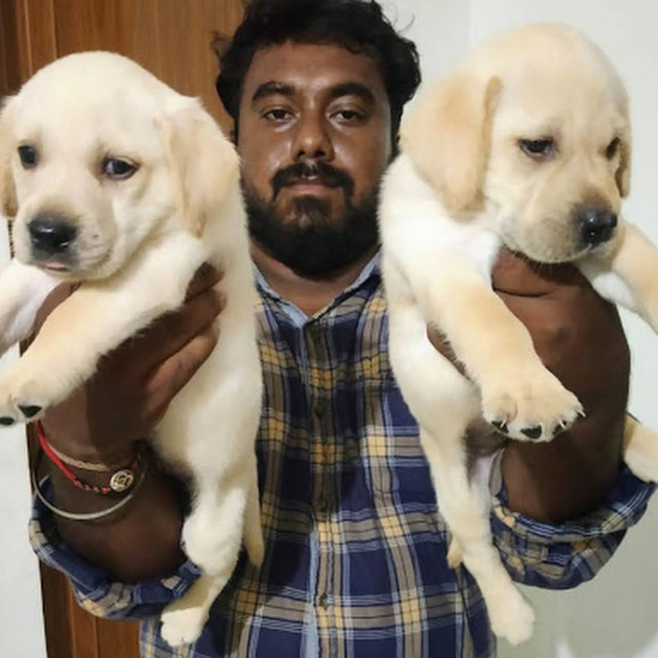 Dog shop home delivery all India delivery 7860996935